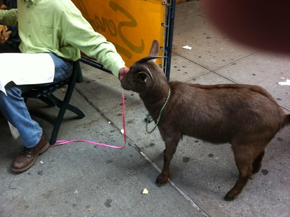 On Broadway NYC. St Paddy's Day