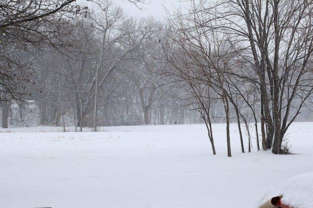 more snow more more more ........