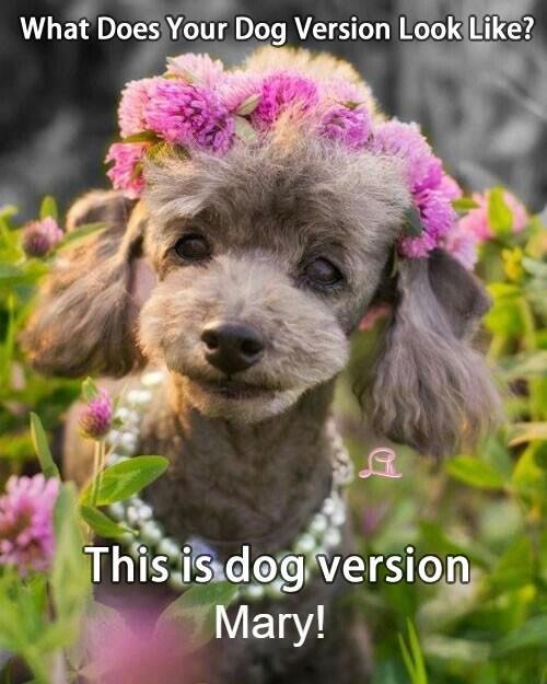 Mary Pflaum's album, Timeline photos