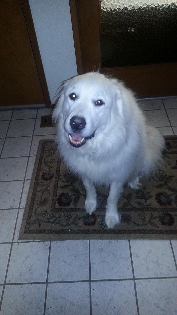 Good girl