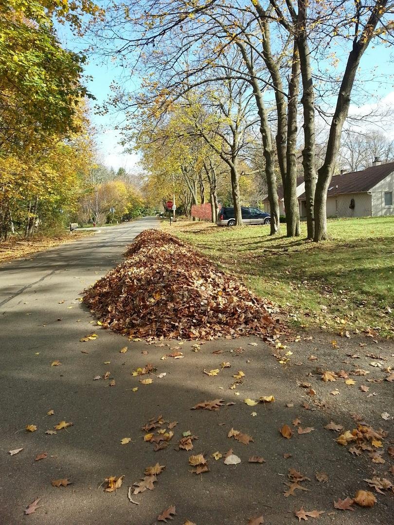 Jim & Mike didn't "work" today...but ...sure hope the city has another leaf pick up day.