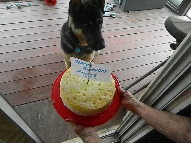 SARGE BD CAKE ODIE MADE HIM