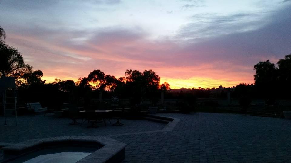 Sharon Robison's album, Mobile Uploads