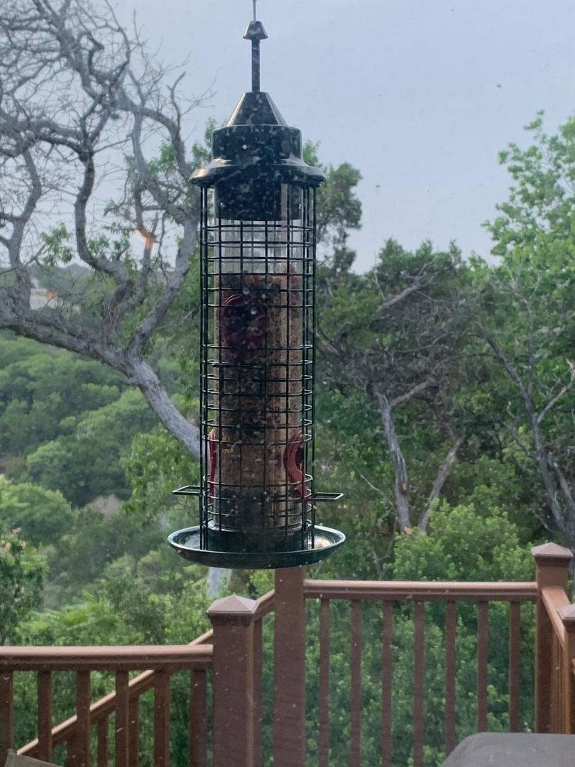 Just hung our new squirrel proof bird feeder.