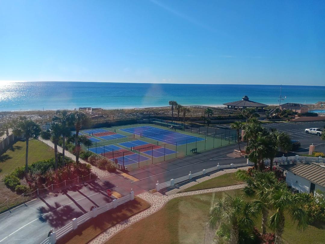 The view