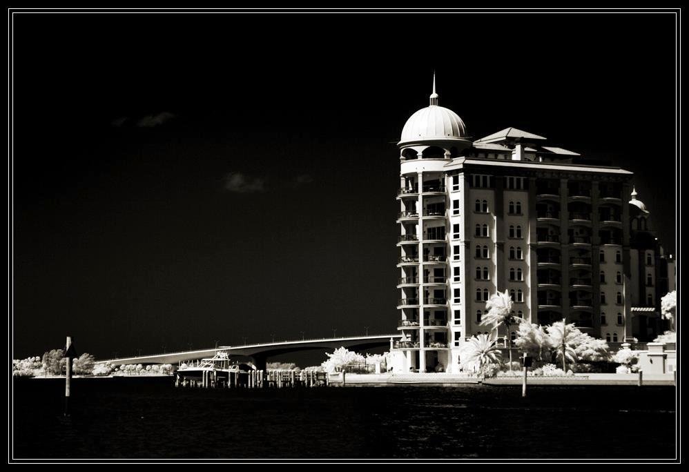 Photo of the Day
An iconic look at the Sarasota harbor