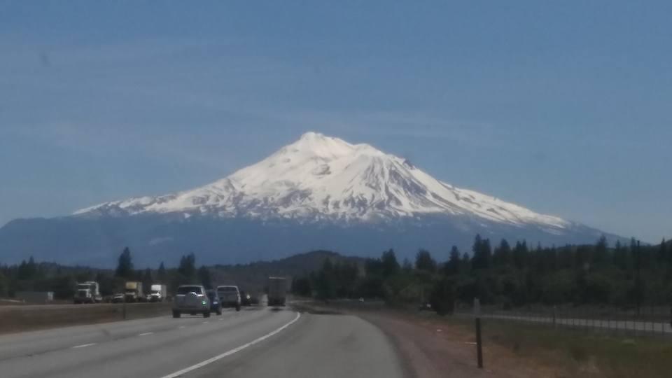 Shasta Baby!