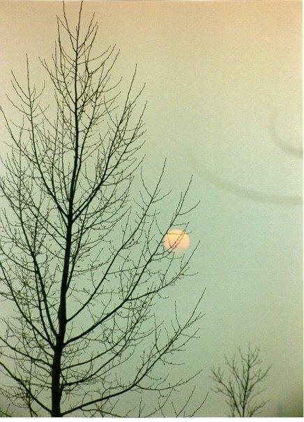 Ron Wirch's album, Some of my most meaningful pictures
