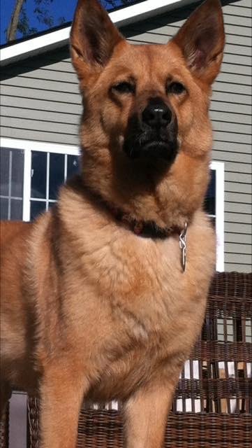 Happy 14th Birthday Maddy