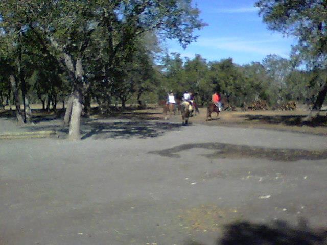 100_0161.JPG