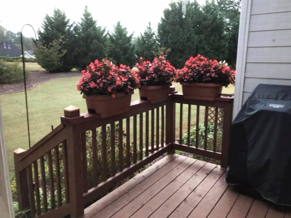 Begonias on deck are so pretty this morning. I will enjoy them until the first freeze.