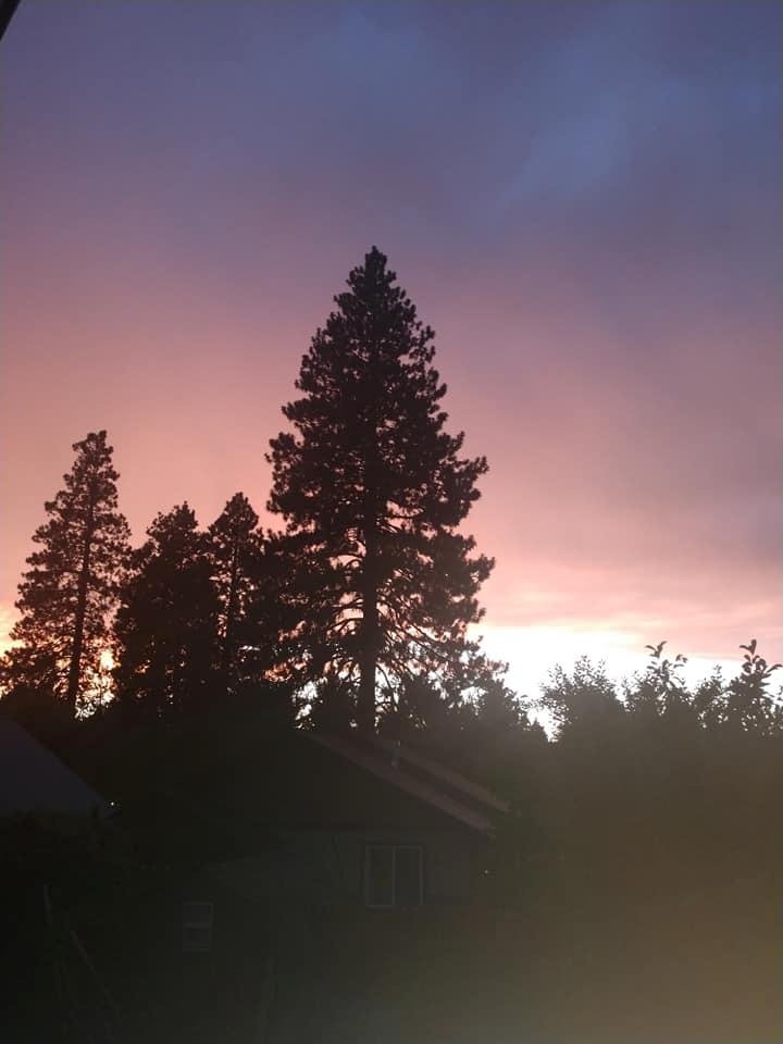Deann Curtis' album, Mobile Uploads