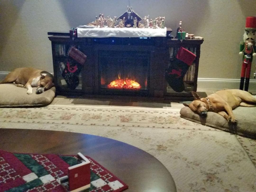 Relaxing after the holidays...