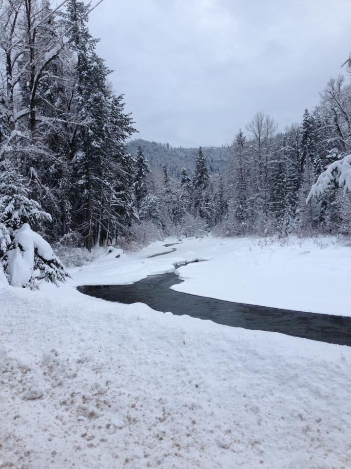 Saw seven hungry Turkeys today in and around Plain Washington with my love. Snowed last night.