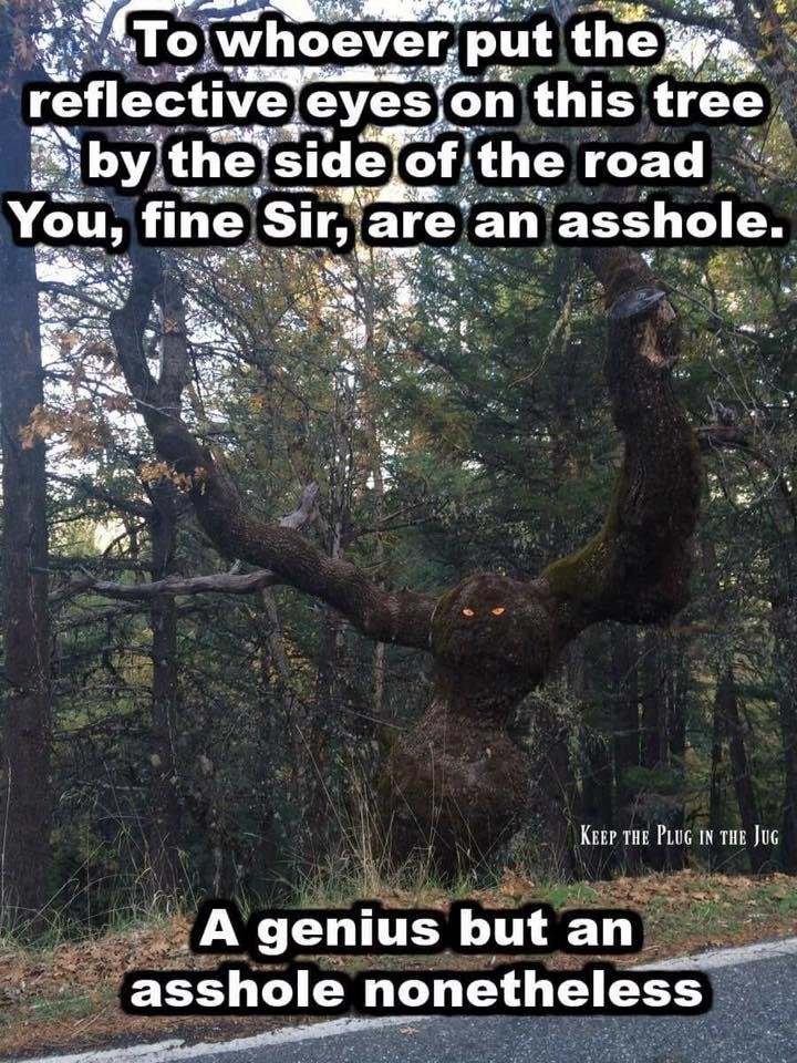 Norm Welsh, is this your handy work? It's brilliant