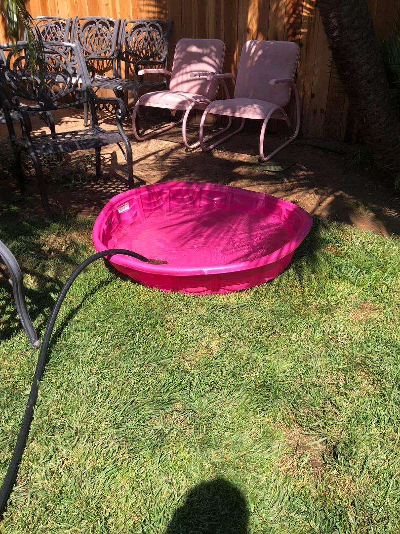 My above ground pool is ready for the grandkids