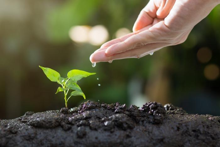 🌿 Explore a world where personal care is inspired by nature! Involved in social marketing with a selection of carefully crafted products, our focus is on promoting conscious and informed choices. Embrace daily essentials t