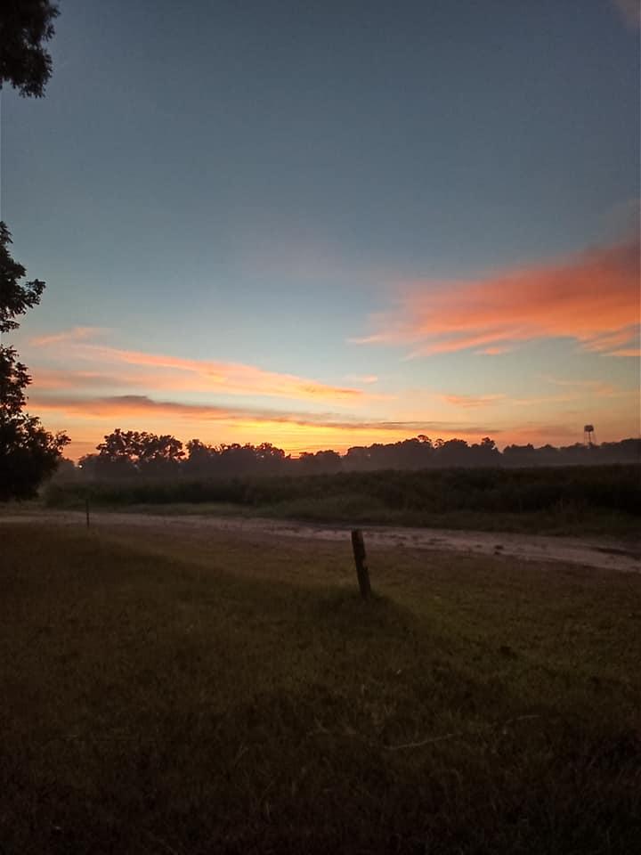 Paula Moore's album, Mobile uploads