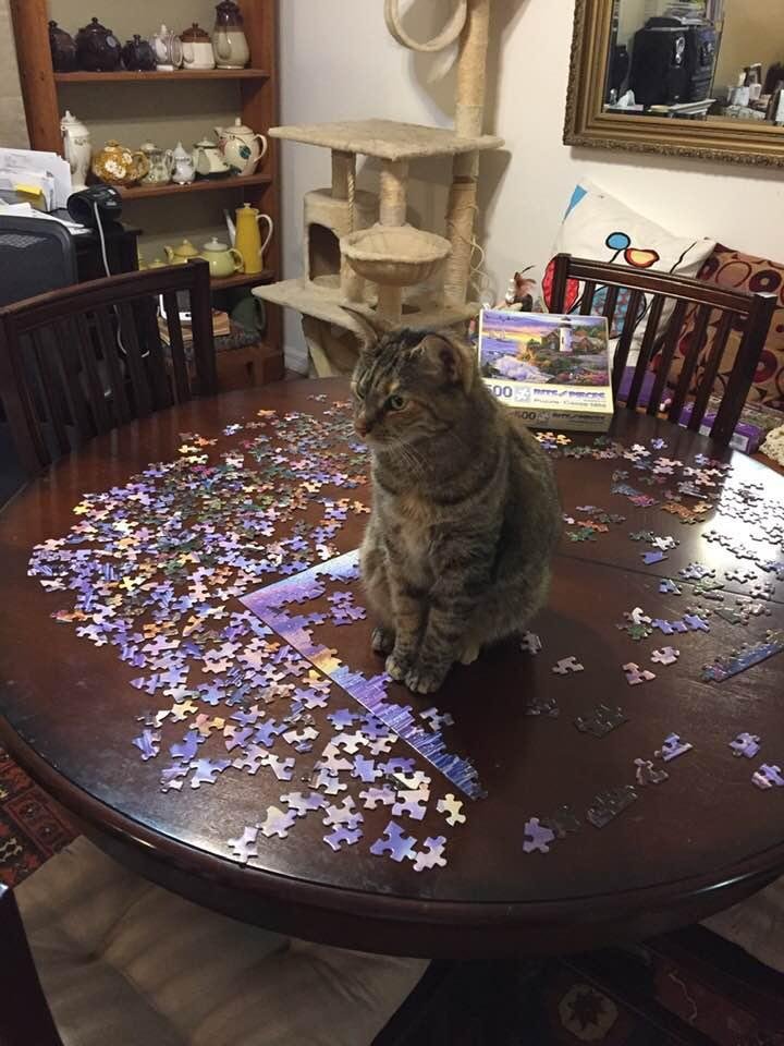 Why I can’t get my puzzle completed
