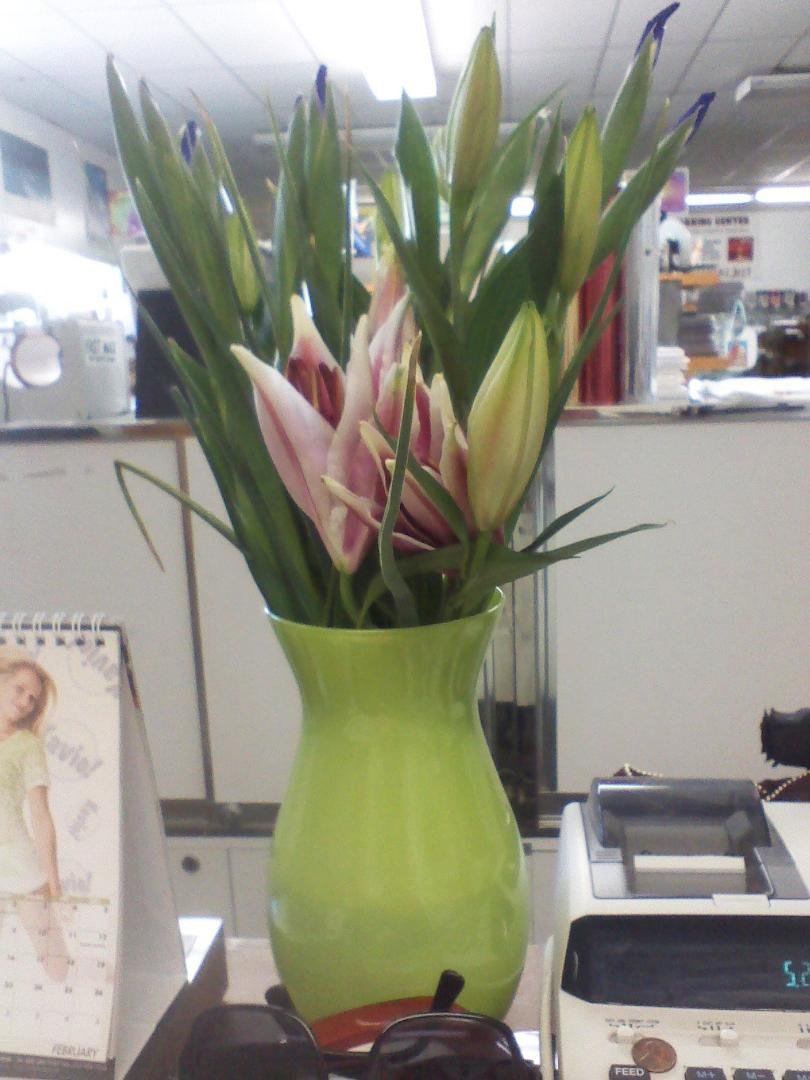 Esther Goodman's album, May 5, 2011