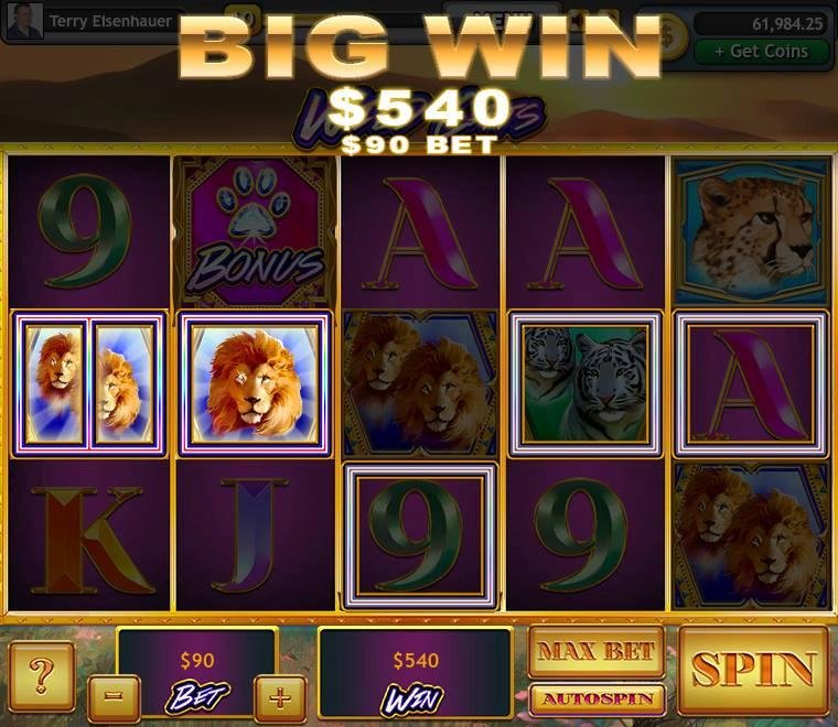 Terry Eisenhauer's album, Lucky Slots Photos