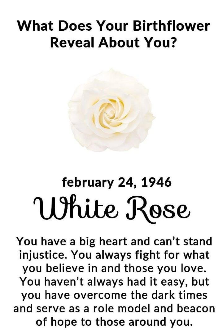Jane Laird's album, Timeline Photos