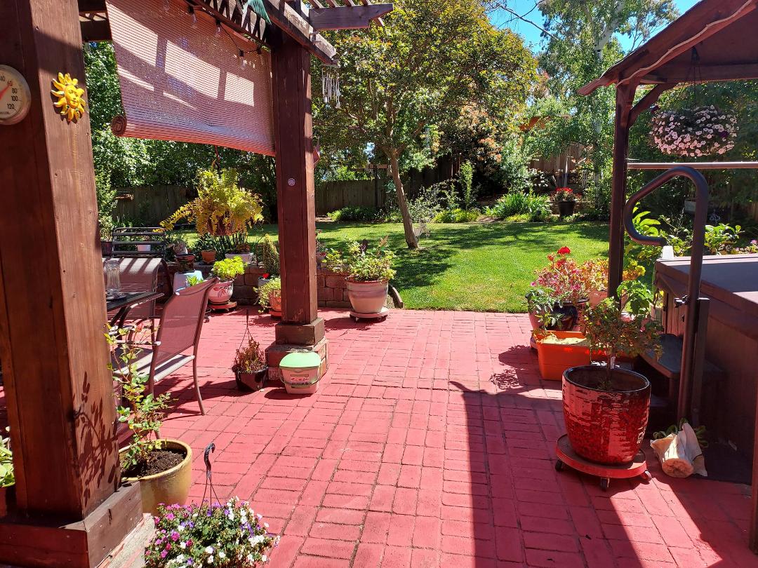 Love this time of year
Our backyard.