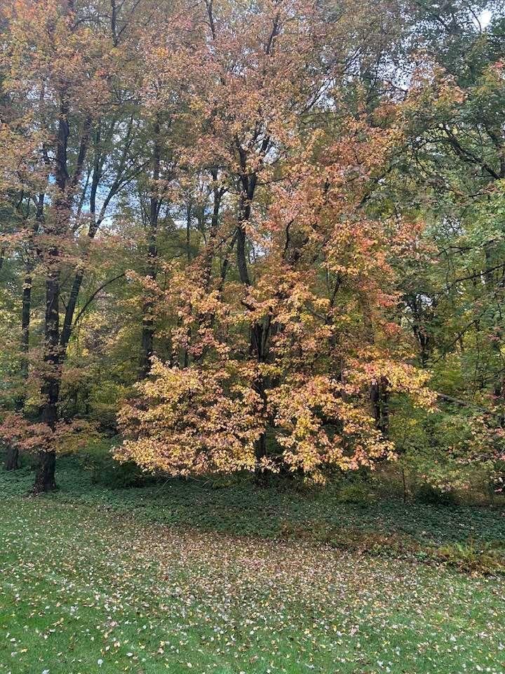 There’s nothing better than Fall in New England