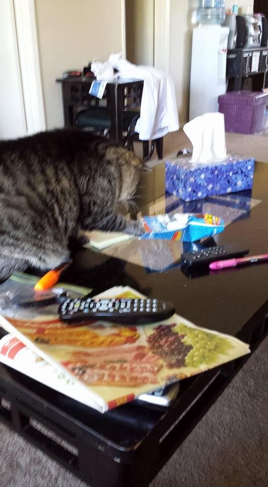 The temptations thief