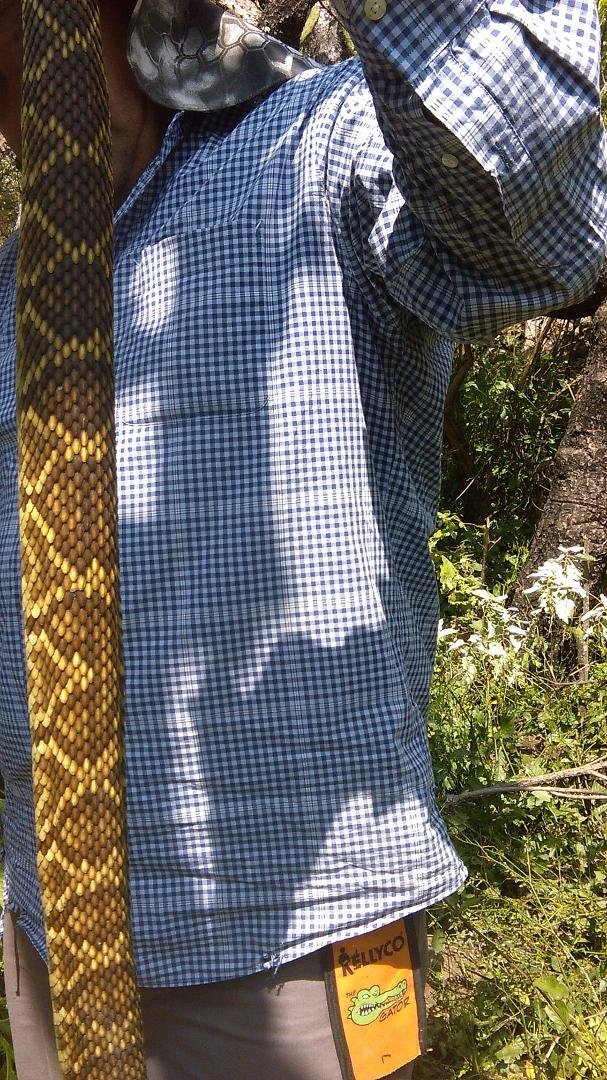Found this treasure hunting 4ft 16yr old rattle snake...close to me but saw him first on top of some rocks ready