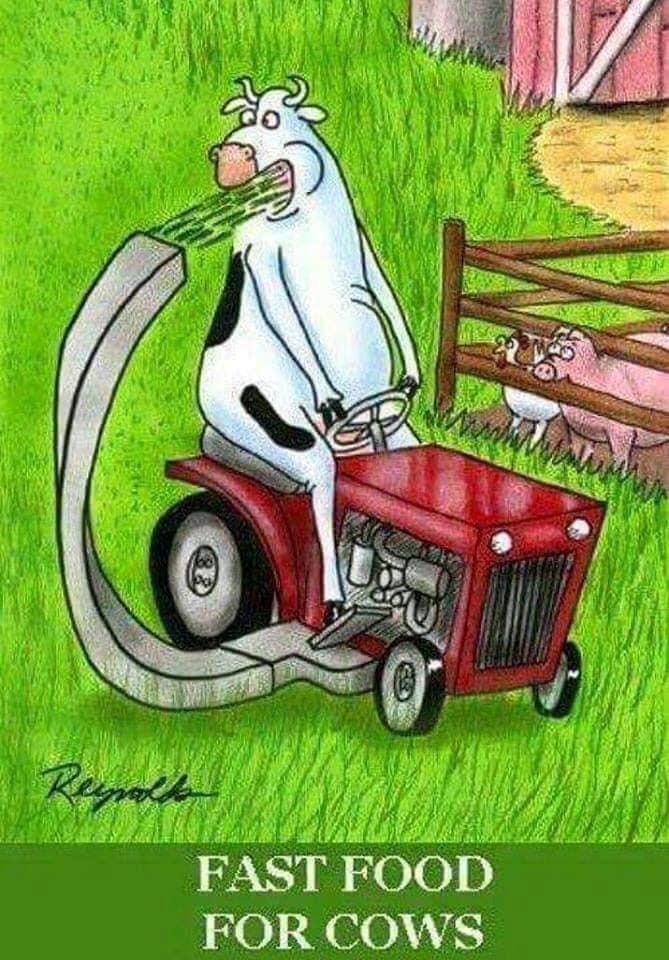 Harold has his own personal "Green New Deal."...
