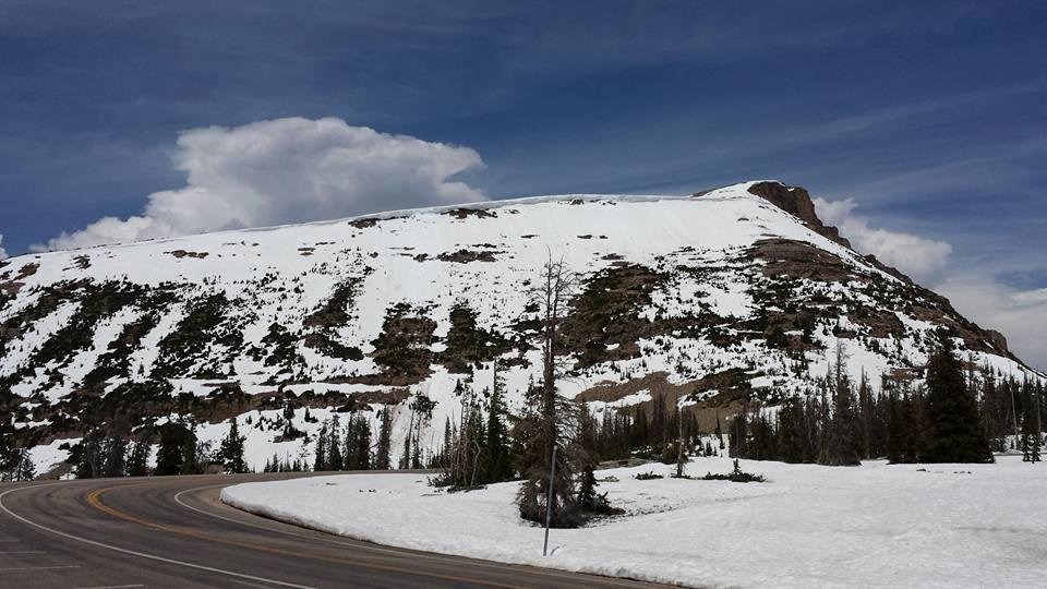 Bald mountain