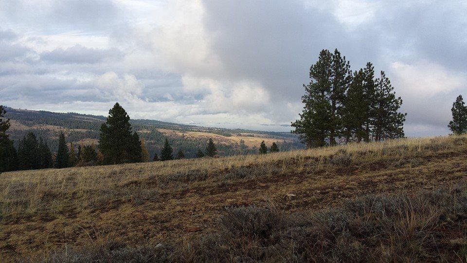 Now this is God's country with no elk