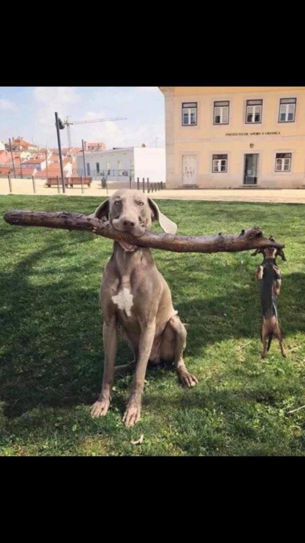 Barbara Tompte's album, Mobile Uploads