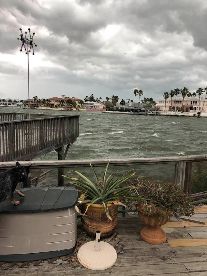 Fierce wind and whitecaps behind our house this morning.