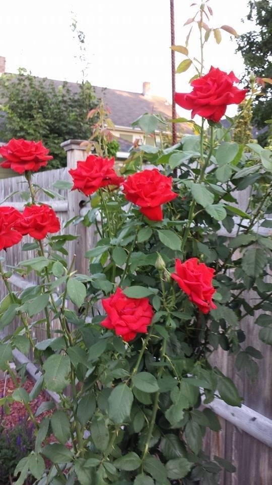 Esther Pittman's album, Timeline Photos
