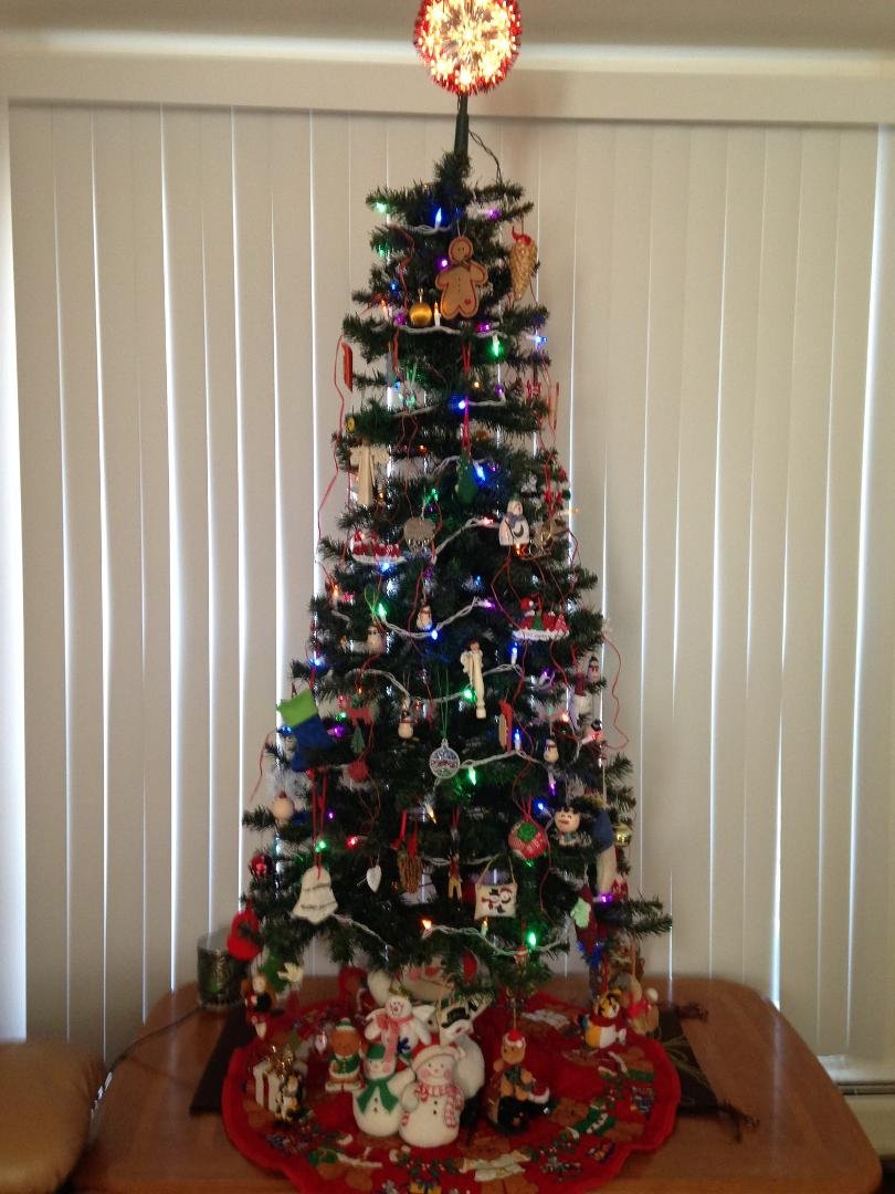 The tree is up!