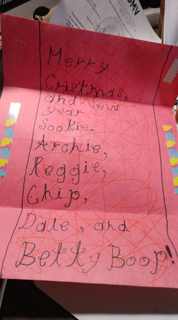 The furballs got their card and presents..they were so excited they had to open the card already!