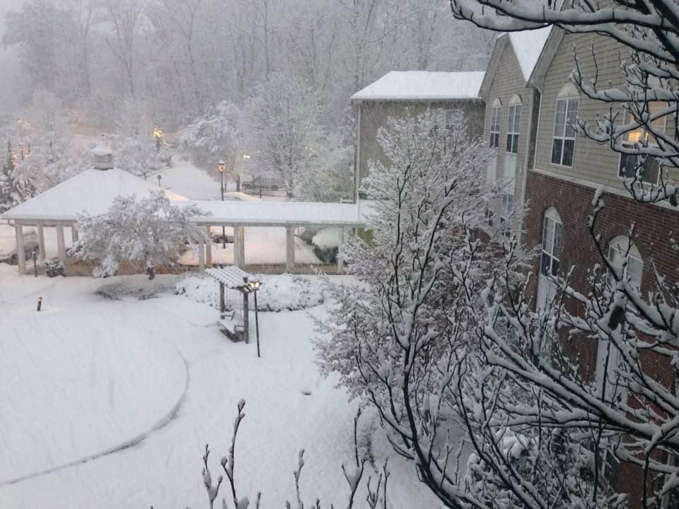 It's been snowing all day. It's beautiful to see!I still have not turned my heat on.