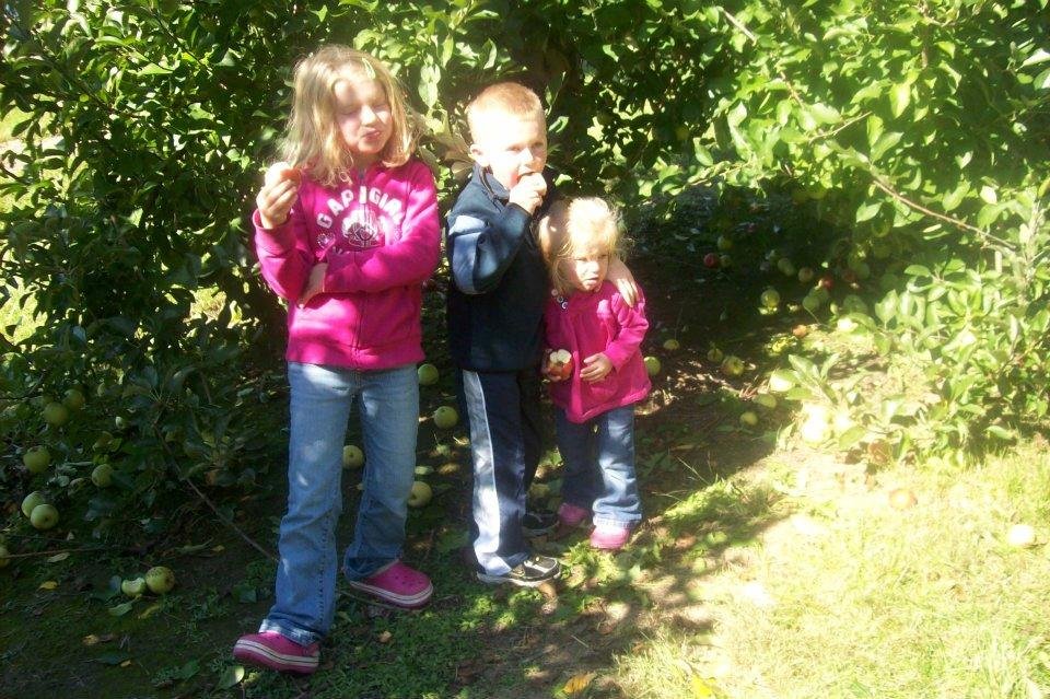 Carl Harrison's album, Apple Picking 2011