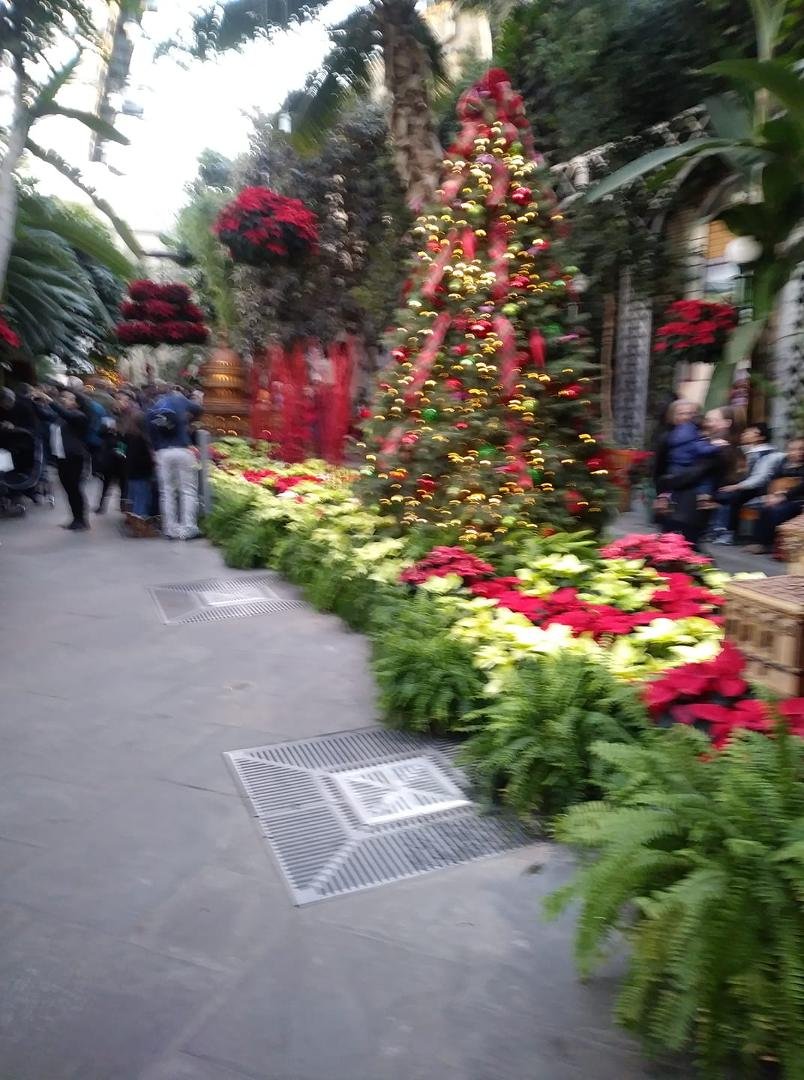 Botanic Gardens, Washington, D.C.