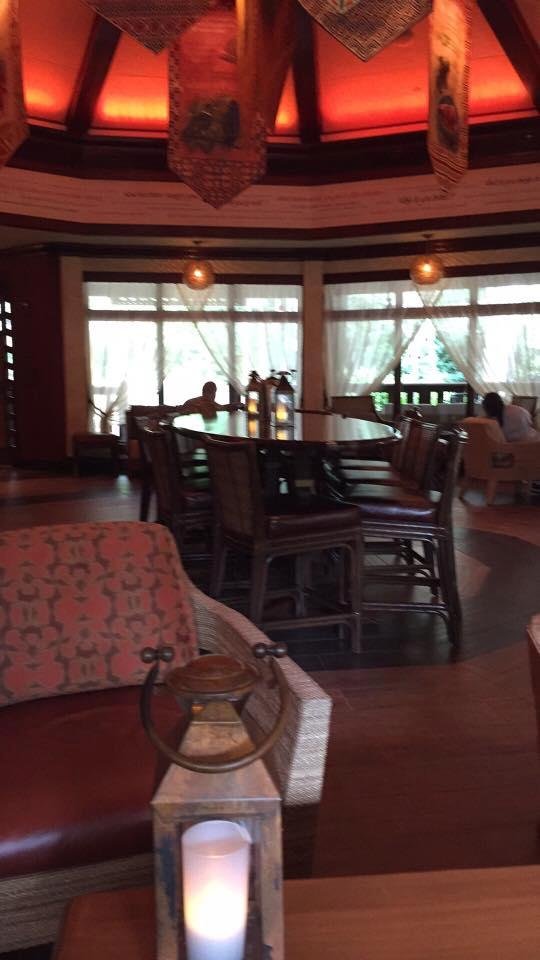 New hang out at Animal Kingdom🍷🌴🐘🐅🐱🐒🐯🦁