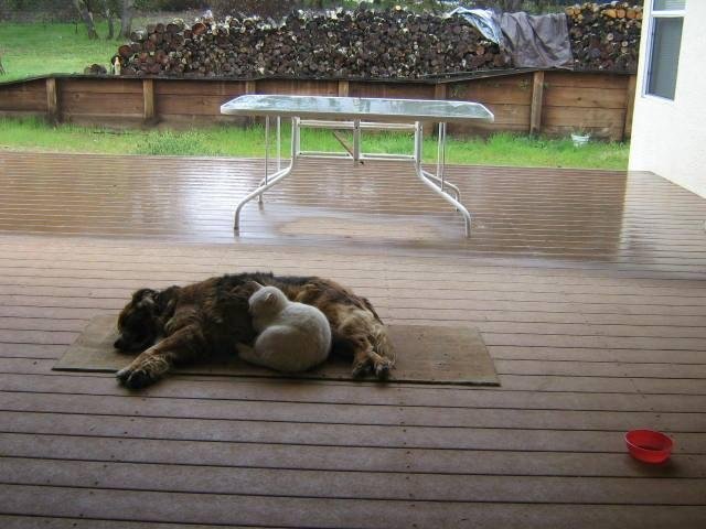Norma Corbell's album, Timeline Photos