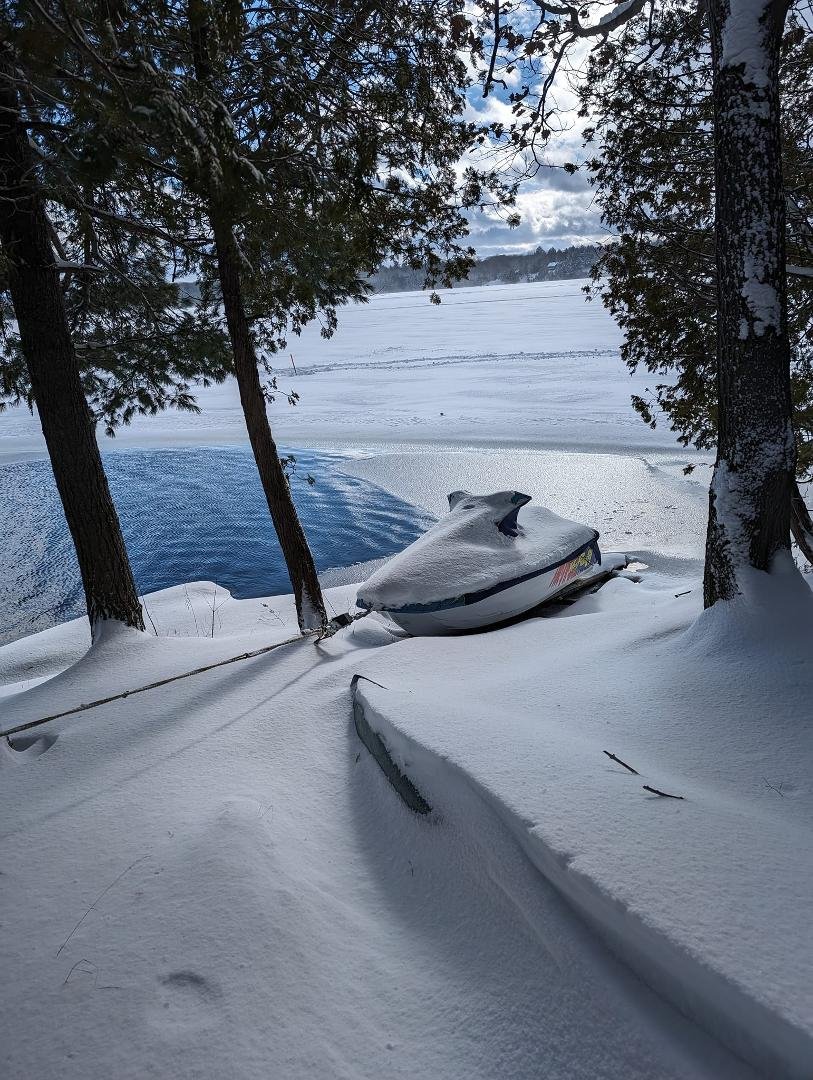What a gorgeous day at the cottage