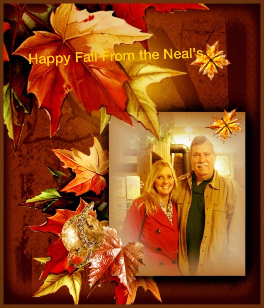 Stuart Neal's album, Mobile Uploads