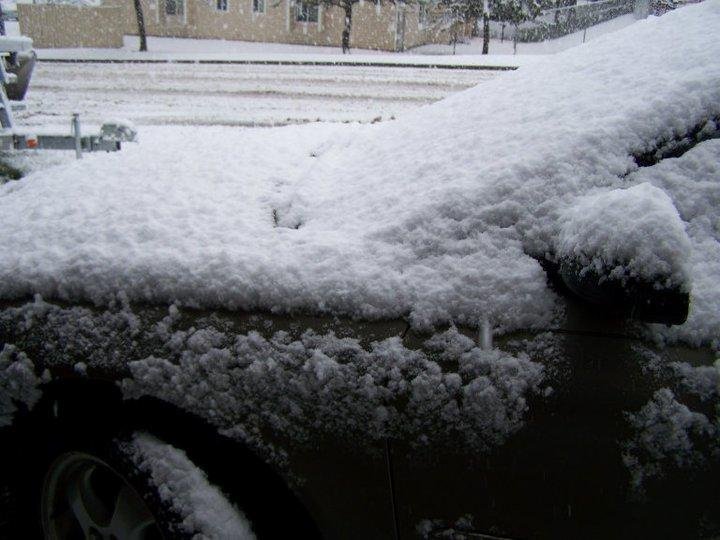 About 4 inches by now
