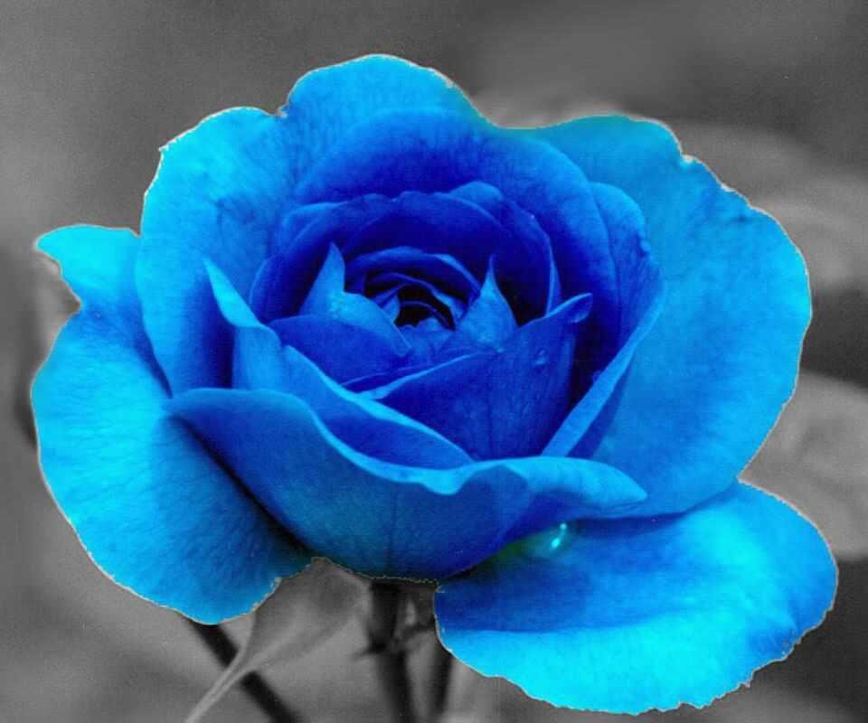 roxanne baker's album, Timeline Photos