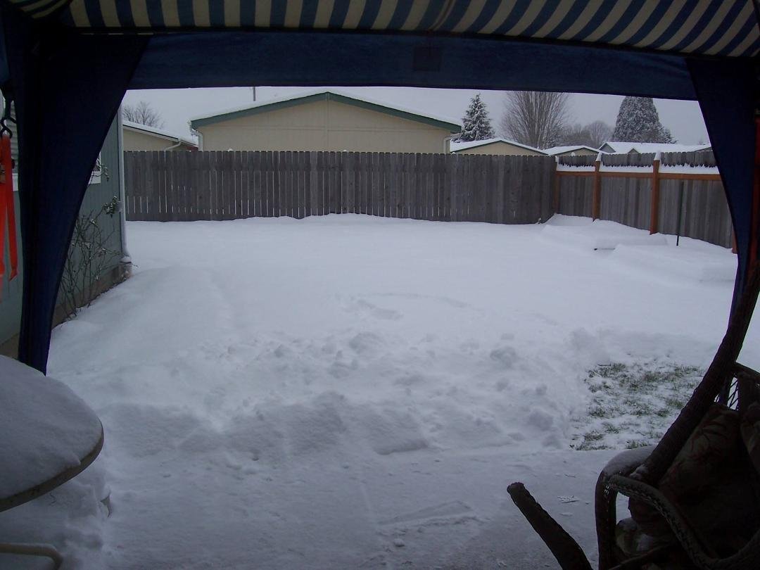 Our back yard and I can see over our 6' fence, right now.
