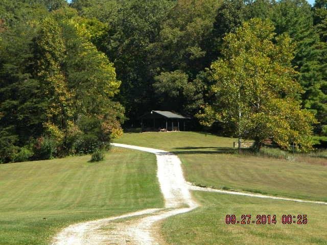 top of the hill where we see the deer and turkey cross the road