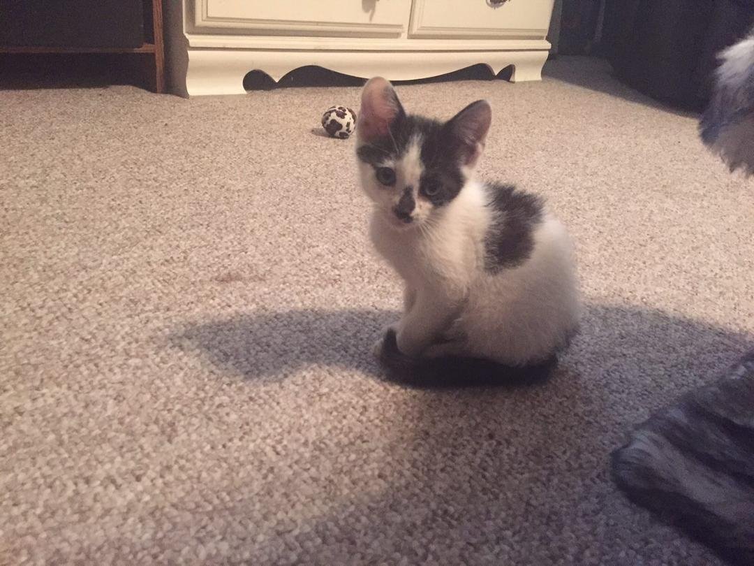 Carol Reuling's album, Timeline Photos